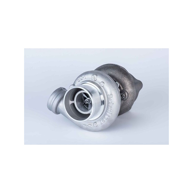 Turbo BorgWarner Schwitzer 318279