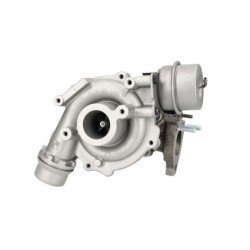 Turbo OE-TurboPower IT-16359700029 pour RENAULT MEGANE III Berline bicorps trois ou cinq portes (BZ0/1_, B3_