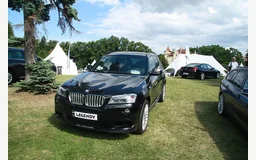 ALPINA XD3 (F25)