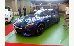 MERCEDES AMG GT (C190)
