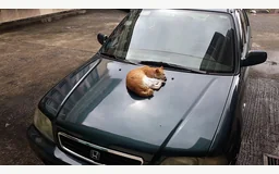 HONDA CIVIC VI Aerodeck (MB, MC)