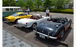 ALPINE A110 II