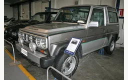 BERTONE FREECLIMBER
