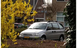 KIA CARNIVAL I (UP, FL)