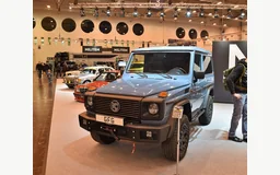 PUCH G-MODELL (W463)