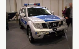 NISSAN PATHFINDER III (R51)