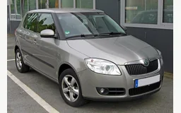 SKODA FABIA II Combi (545)
